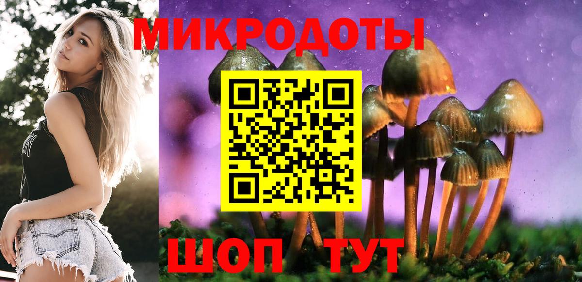 Галлюциногенные грибы Cubensis Приморско-Ахтарск