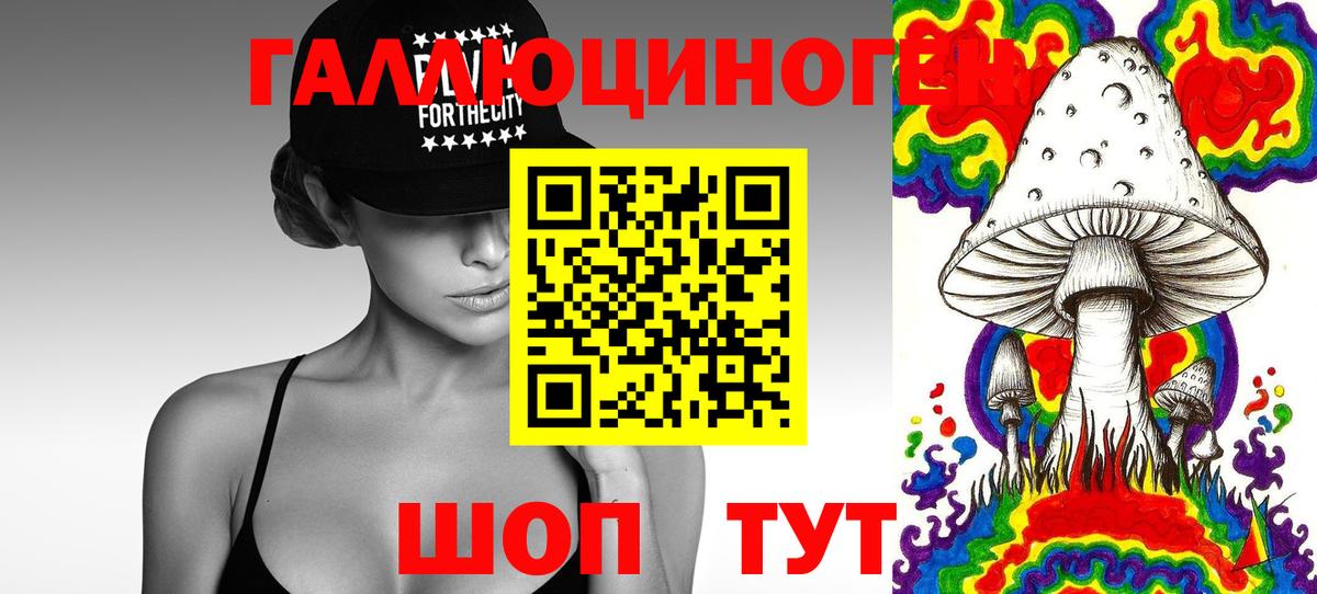 Галлюциногенные грибы Cubensis  Вход с VPN  Галлюциногенные грибы прущие грибы  Приморско-Ахтарск 