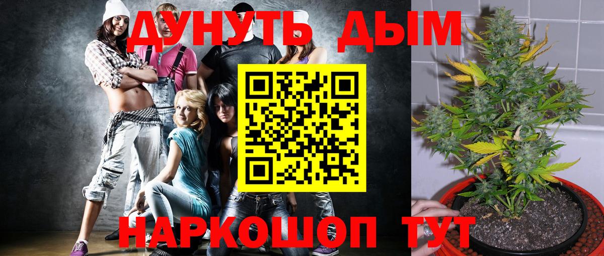 Каннабис план Приморско-Ахтарск
